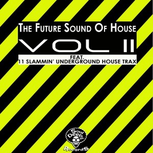 Various Artists - The Future Sound Of House Vol 2 [SoulDeep Inc. Records]