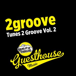 2groove - Tunes 2 Groove Vol. 2 [Guesthouse]