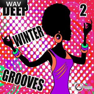 Various Artists - Deep Winter Grooves 2 [Transport]