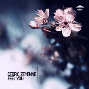 Cedric Zeyenne - Feel You (Original Mix)