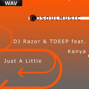 DJ Razor & TDEEP feat. Kanya - Just A Little [Gosoulmusic]