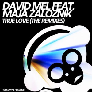 David Mel feat. Maja Zaloznik - True Love (The Remixes) [Housepital Records]