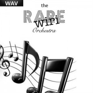 The Rare Wiri Orchestra - Blue [Rare Wiri Spain]