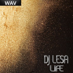 DJ Lesa - Life [Beat Monkey]