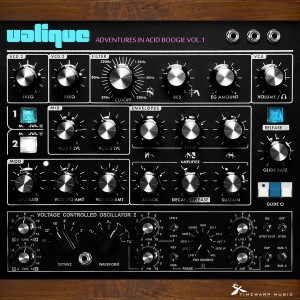 Valique - Adventures in Acid Boogie, Vol.1 [Timewarp Music]