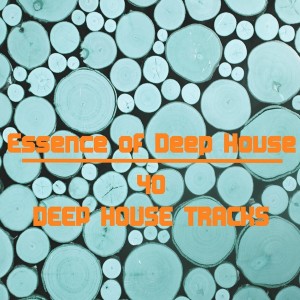 Various Artists - Essence of Deep House [Berry Parfait]