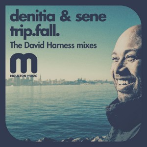 Denitia and Sene - Trip.fall. (The David Harness Mixes) [Moulton Music]