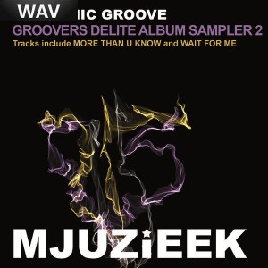 Rhythmic Groove - Groovers Delite Album Sampler Vol  2 [Mjuzieek Digital]