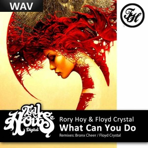 Rory Hoy & Floyd Crystal - What Can You Do [Tall House Digital]