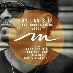 Roy Davis Jr. feat. Robert Owens - Slide [Mile End Records]