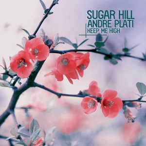 Sugar Hill & Andre Plati - Keep Me High [Enormous Tunes]