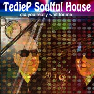 Tedjep Soulful House - Did You Really Wait For Me [M F Records]