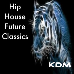 Various Artists - Hip House Future Classics [Kingdom]