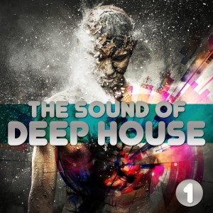 Various - The Sound Of Deep House Vol 1 Selected House Grooves [Drizzly Music]