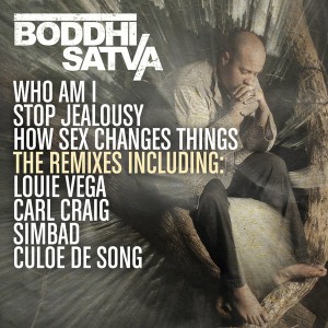 Boddhi Satva - The Remixes [BBE]