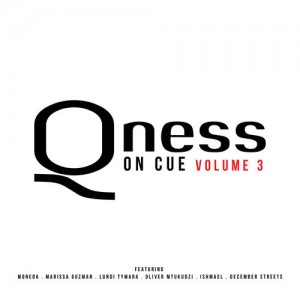 DJ Qness - On Cue vol. 3 [Soul Candi Records]