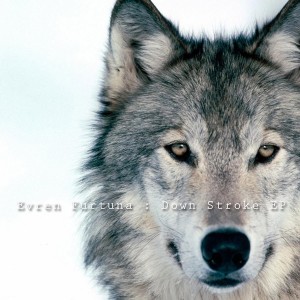 Evren Furtuna - Down Stroke EP [Kolour Recordings]