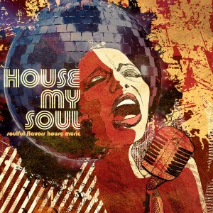Various Artists - House My Soul [Streetlight]