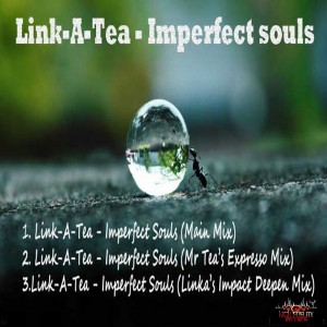 Link A Tea - Imperfect Souls (Remixes) [High Fidelity Productions]