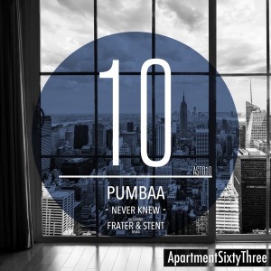 Pumbaa - Never Knew [ApartmentSixtyThree]