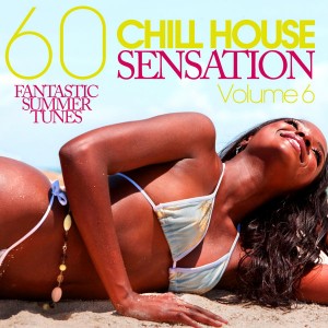 Various - CHILL HOUSE SENSATION Vol. 06 - 60 Fantastic Summer Tunes [Elements Of Life]