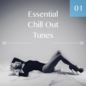 Various - Essential Chill Out Tunes Vol 01 [Catharsis]