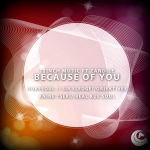 12Inch Music feat. Zandile - Because Of You [Audiophile Music]