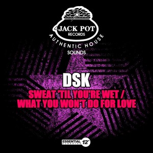 DSK - Sweat 'Til You're Wet  What You Won't Do for Love [Essential 12 Inch Classics]