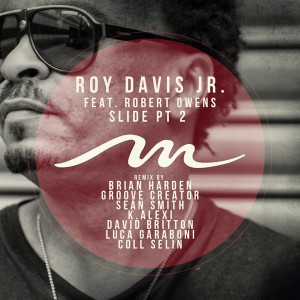 Roy Davis Jr. feat. Robert Owens - Slide Part 2 [Mile End Records]