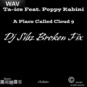 Ta-Ice feat Poppy Kabini - A Place Called Could 9 (DJ Sibz Broken Fix remix) [Room 38]