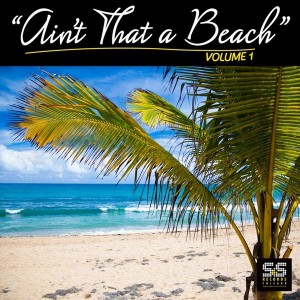 Various Artist - Ain't That A Beach Vol.1 [S&S Records]