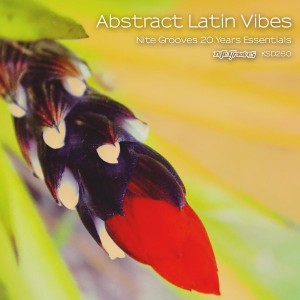 Various Artists - Abstract Latin Vibes (Nite Grooves 20 Years Essentials) [Nite Grooves]