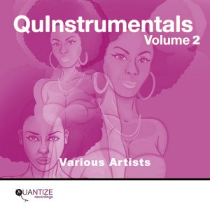 Various - Quantize QuInstrumentals Volume 2 [Quantize Recordings]