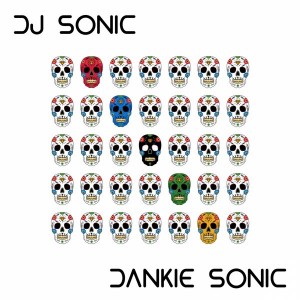 DJ Sonic - Dankie Sonic [FOMP]