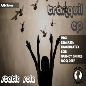 Static Sole - Tranquil EP (incl.Remixes) [Afro Native Records]