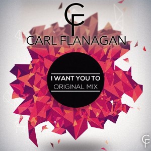 Carl Flanagan - I Want You To [House Arrest]
