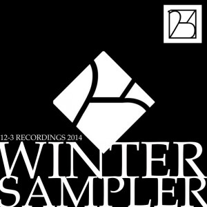 Various - 2014 Winter Sampler [12-3 Recordings]