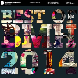 Various Artists - Best of Big Mamas House Records 2014 [Big Mamas House Records]