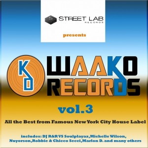 Various Artists - Streetlab presents The Best of Waako Records, Vol. 3 [Streetlab Records]
