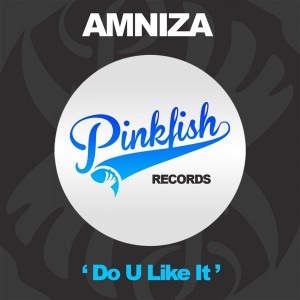 Amniza - Do U Like It [Pink Fish Records]