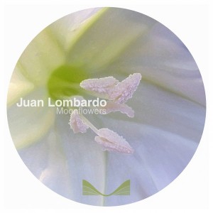 Juan Lombardo - Moonflowers [Shelving Music]