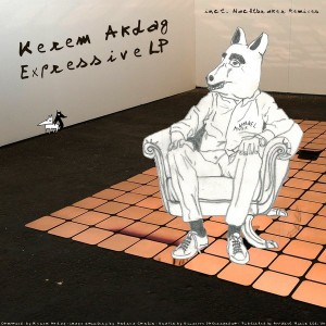 Kerem Akdag - Expressive LP [Apparel Music]