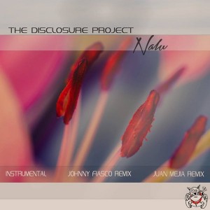 The Disclosure Project - Nalu (The Remixes) [Dutchie Music]