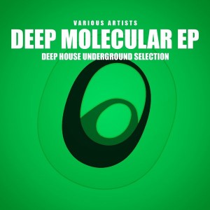 Various Artists - Deep Molecular -  EP [Officina Sonora]