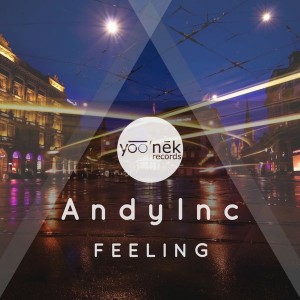 AndyInc - Feeling [Yoo'nek Records]