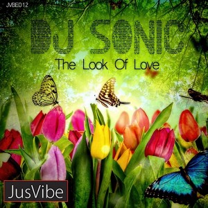 DJ Sonic - The Look Of Love [JusVibe]
