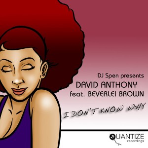 David Anthony feat. Beverlei Brown - I Don't Know Why [Quantize Recordings]