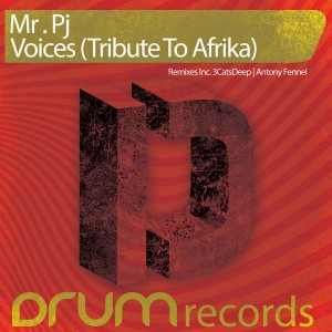 Mr P.J - Voices (Tribute To Afrika) [DRUM Records]