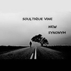 Soultique Vine - New Synonym [Golden Stone Entertainment]