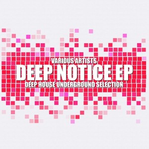 Various Artists - Deep Notice [Officina Sonora]